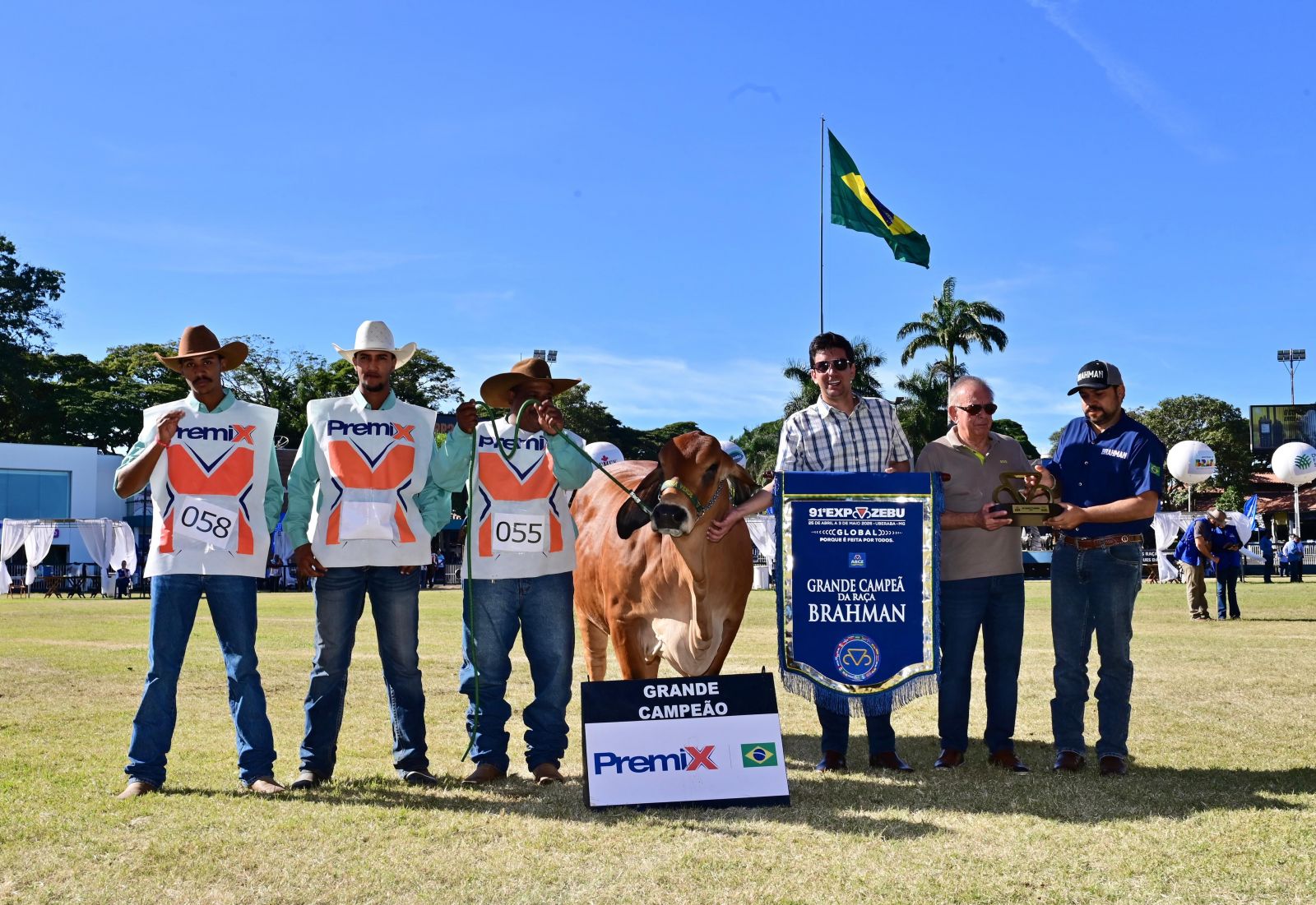 Conheça os Grandes Campeões da 91ª ExpoZebu | Notícias | ABCZ